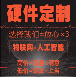 51单片机FPGA定做